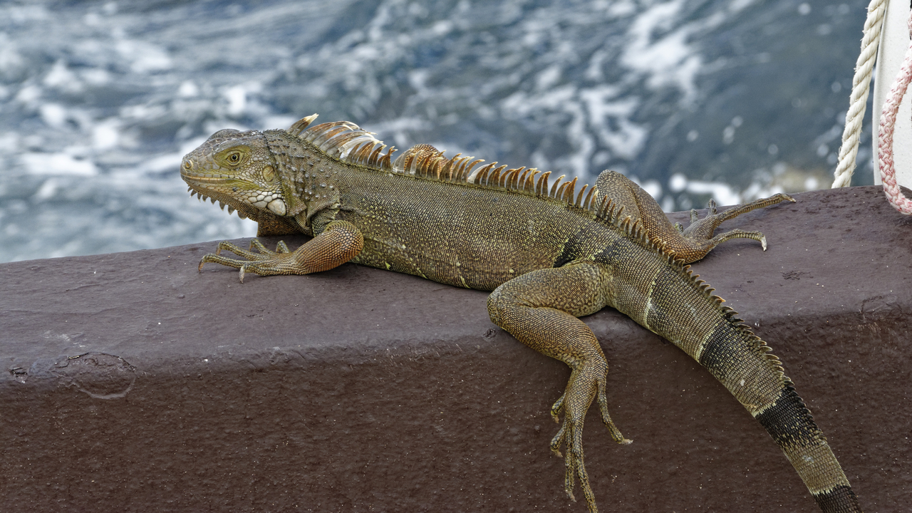 20170204 101619•San Juan•San Juan•Puerto Rico